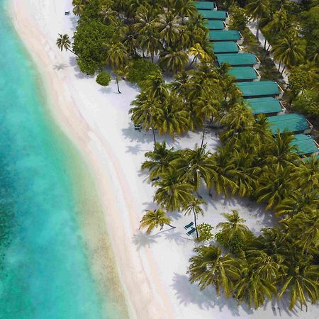 Meeru Maldives Resort Island Dhiffushi Esterno foto Aerial view of the beach