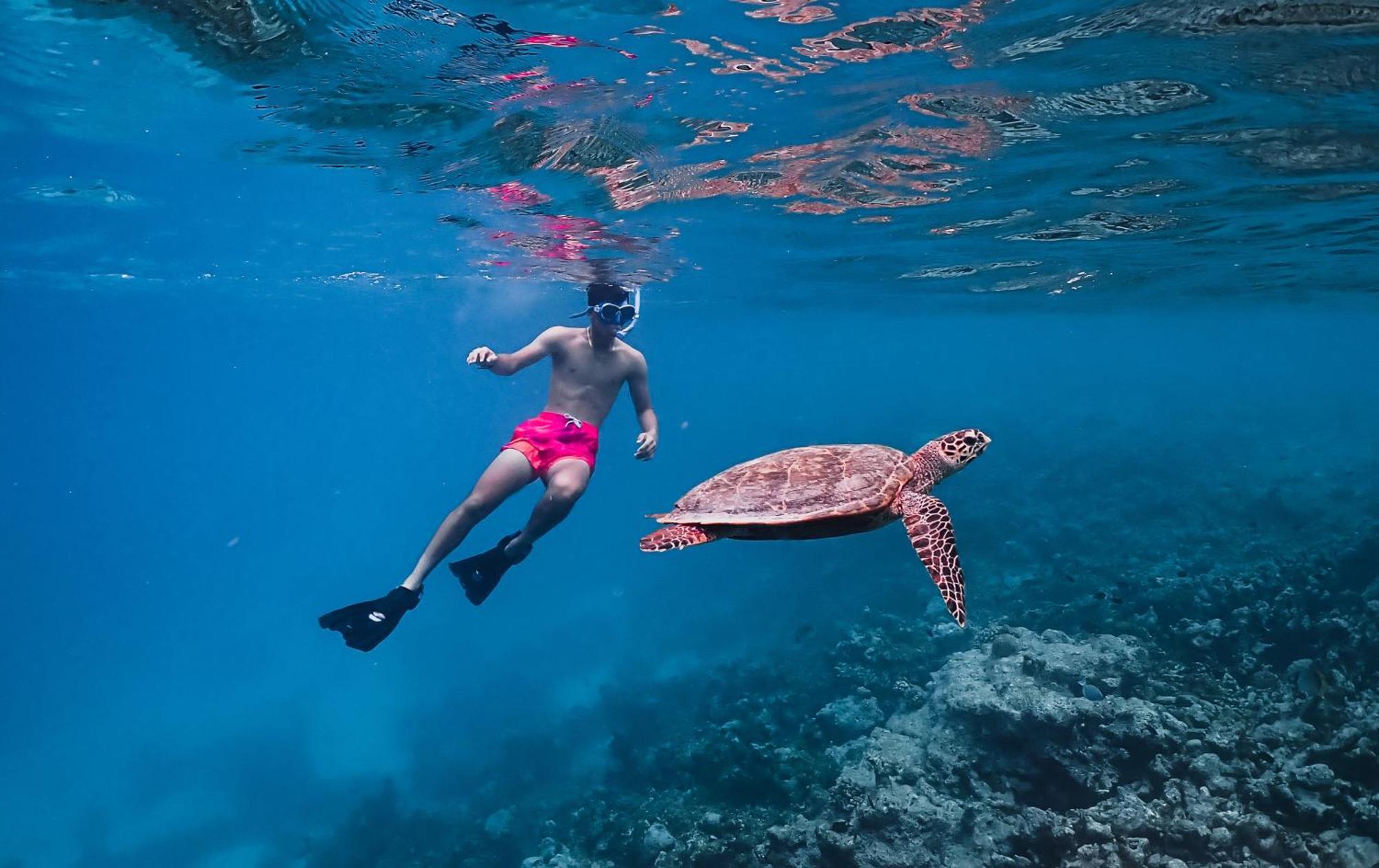 Meeru Maldives Resort Island Dhiffushi Esterno foto Snorkeling with a green sea turtle in Hawaii